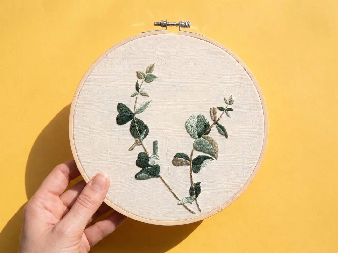 Brins d'eucalyptus, le tambour tenu en main