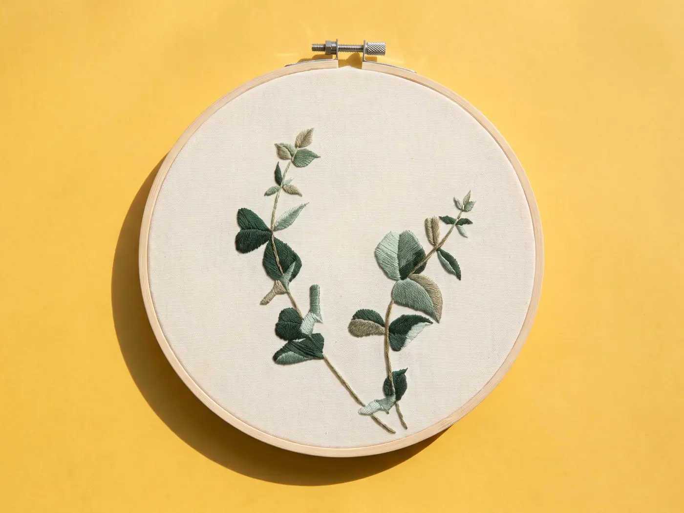 Kit Brins d'eucalyptus