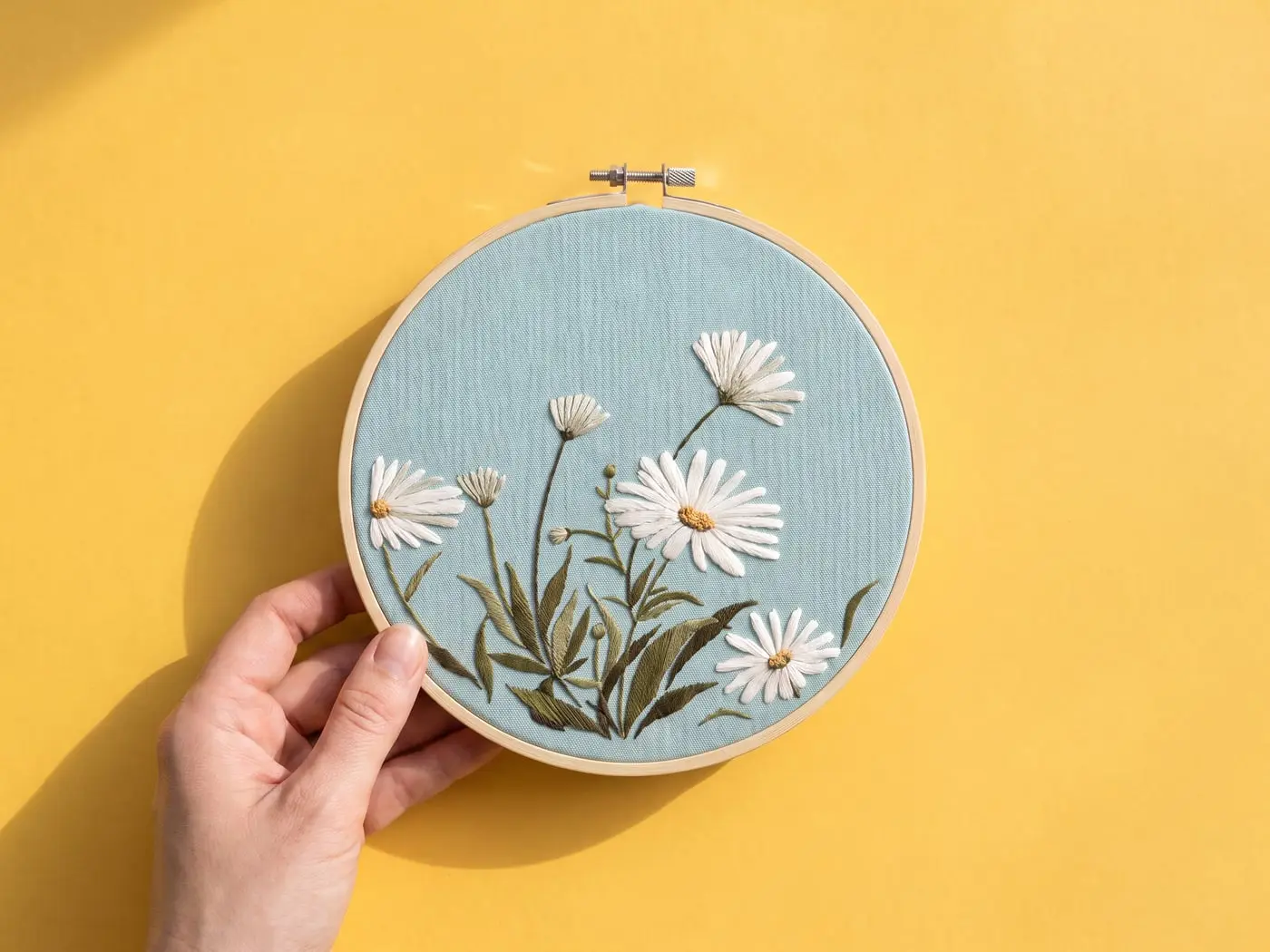 Marguerites des prés, le tambour tenu en main