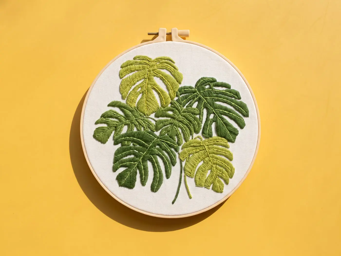 Tambour brodé de trois grandes feuilles de monstera vertes, posé sur un papier mimosa